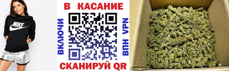Где можно купить наркотики Асино гидра tor Каннабис МЕФ Гашиш