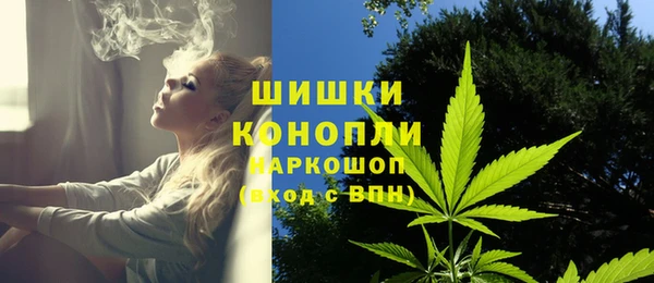 гашик Арсеньев