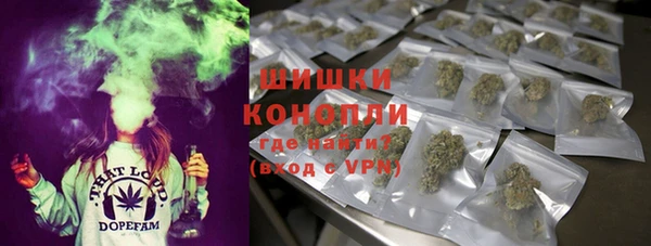 гашик Арсеньев
