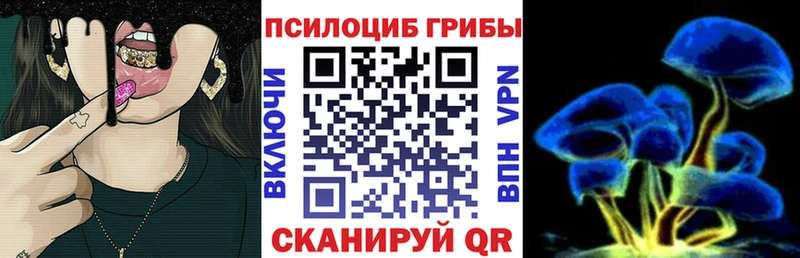 Псилоцибиновые грибы MAGIC MUSHROOMS  где найти наркотики  мориарти Telegram  Асино  MEGA ССЫЛКА 